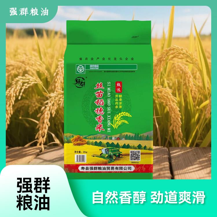 丝苗稻穗香米