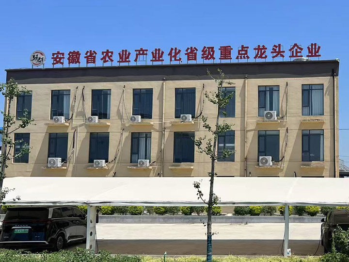 办公大楼背面